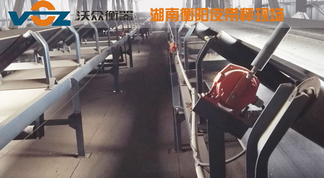 Ƥ���ӿ͑��F(xi��n)��(ch��ng)